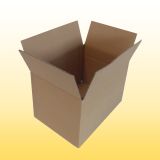 10 Karton 29 cm x 21 cm x 19 cm (LxBxH)